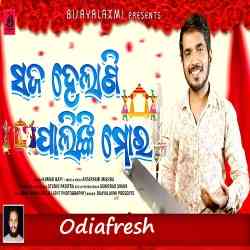 Saja Helani Palinki Mora